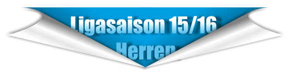 Ligasaison 15/16               Herren