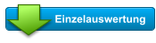 Einzelauswertung